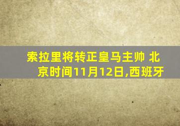 索拉里将转正皇马主帅 北京时间11月12日,西班牙